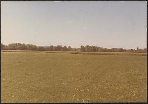 Possibly High Lawn Farm property