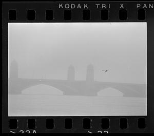 A seagull flies in mist over the Longfellow Bridge, Boston