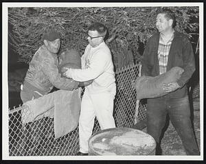 Morey Dam, Taunton scene is Bay St. Home of Mr. + Mrs. Patrick Haugh City placing sandbags to prevent x-tra damage.