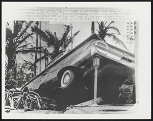 The winds of hurricane Cleo will no doubt in traffic court for the "Overtime" parking ticket this storm victim will the 110 mph plus winds lifted the tail end of the car up and parked it parking meter here much as a car would be raised on a jack.