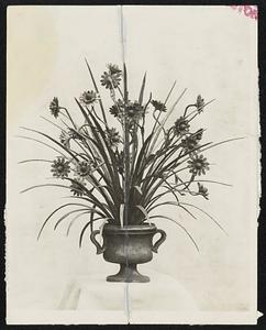 As finely detailed as the plant from which it was copied, this hand hammered reproduction is an example of the Gustav Koralewski can turn out in his little blacksmith shop on Dunbar avenue, Dorchester. Koralewski learned his ornamental iron working as a youth in Germany. Many of his work are on display.
