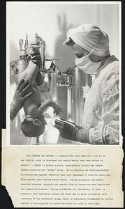 His Chances Are Better -- Chances that this baby will live to an age when he could be President are vastly better than ever before in history -- thanks to modern science, hard-working doctors and nurses, modern nutrition and "wonder" drugs. He is entering the world surrounded by precautions against infection that were undreamed of even ten years ago. This special care started before birth. During pregnancy, his mother received vitamins, minerals and special food to insure her good health and his normal development. During childbirth and thereafter, if there is reason to fear infection, mother and child may be given aureomycin, most versatile of the antibiotic drugs, which is especially recommended to protect against a vast majority of infections known to occur at this time.