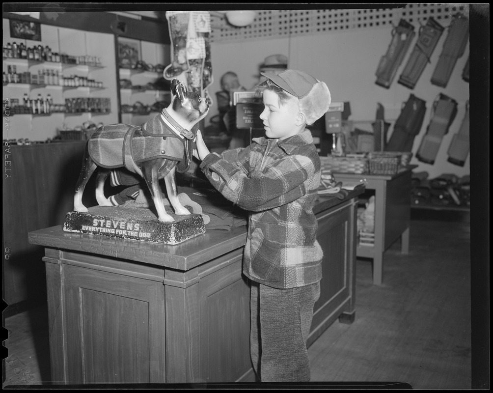 Boy in pet store Digital Commonwealth