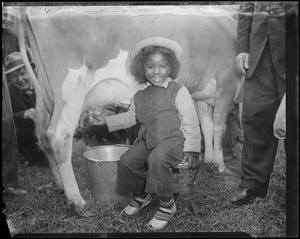 Girl milking cow