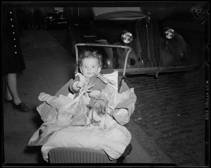 Child with puppy and poultry in baby carriage