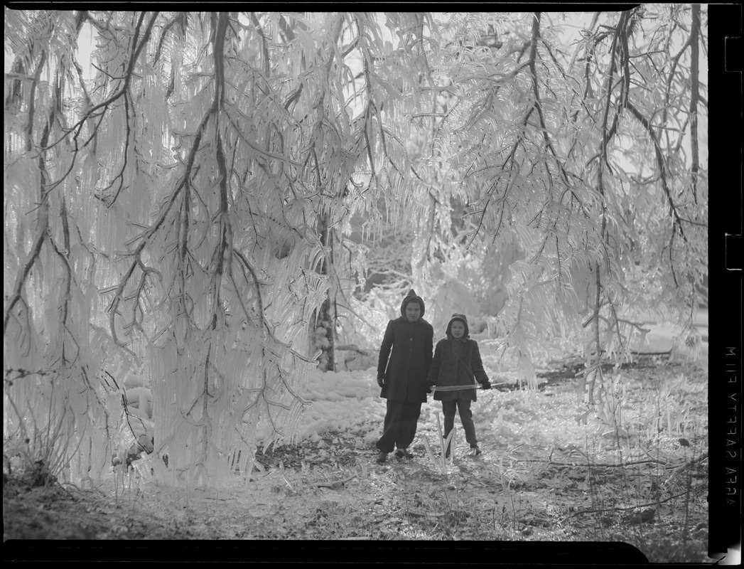 Children playing in winter