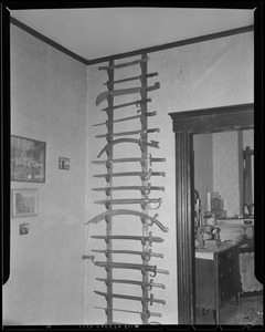 Man with sword collection