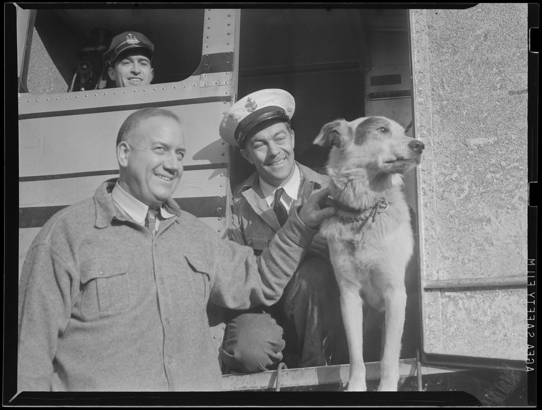 Navy men with dog