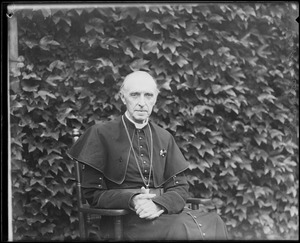 Cardinal Mercier