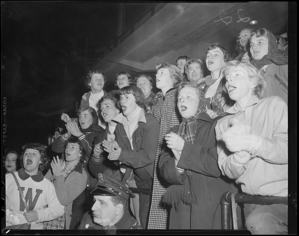 Fans in stands