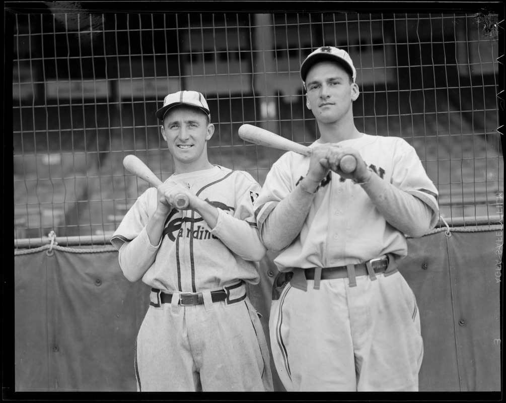 Bees and Cardinals players