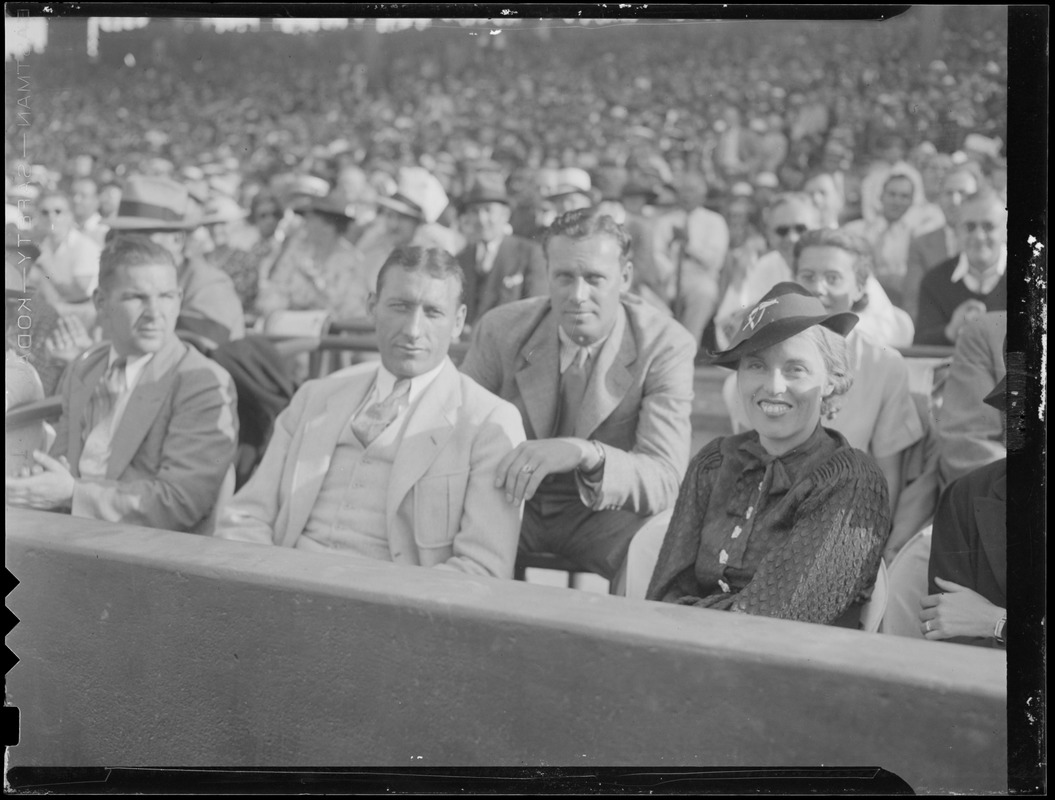 Fans in the stands