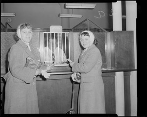 Two ladies at ticket window, Fenway Park