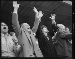 Fans cheering at the ballpark