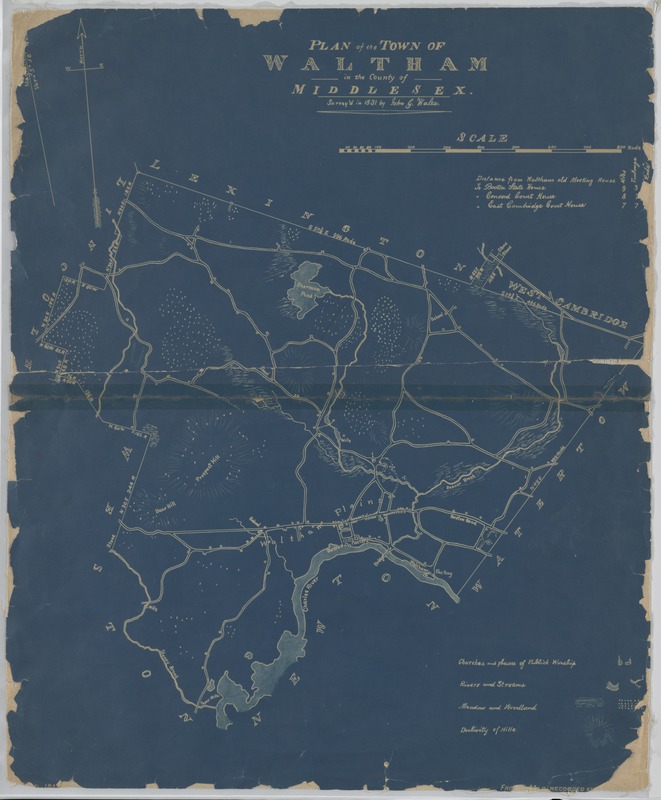 Plan of the Town of Waltham in the County of Middlesex