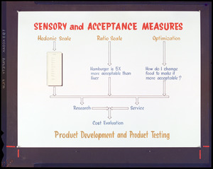 Sensory and acceptance measures, product development and testing