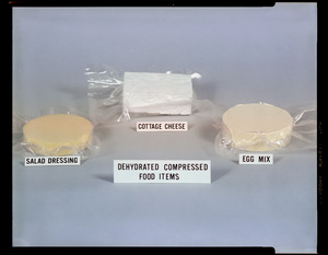 Dehydrated compressed food items