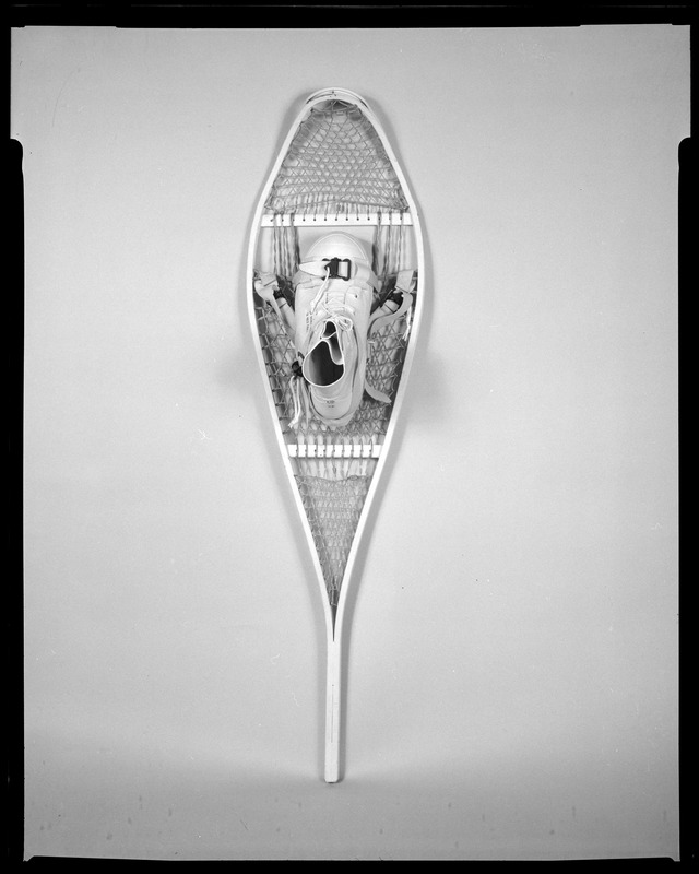 Snowshoe Digital Commonwealth