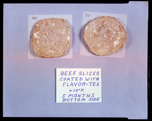 Beef slices coated with Flavor-Tex +10 degrees F, 5 months bottom side