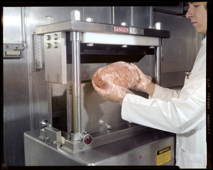 Man holding ground meat
