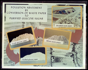 Pollution abatement by conversion of waste paper to purified glucose sugar