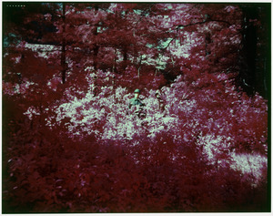 Infrared camaflauge 2 men