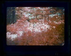 Infrared camaflauge 2 men