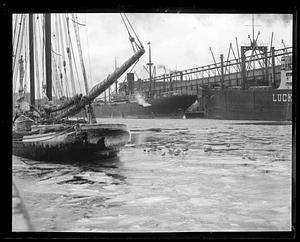 Seagulls posing with fishing schooner Imperator at fish pier