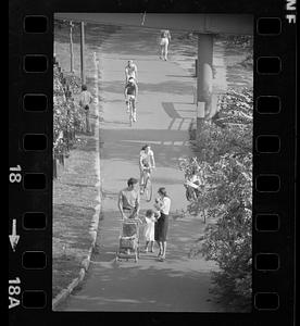 Summertime on Charles River embankment, Charles River, Back Bay