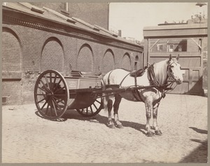 Horse drawing sewer department buggy