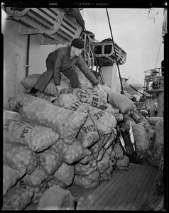Crew member on top of sacks of potatoes