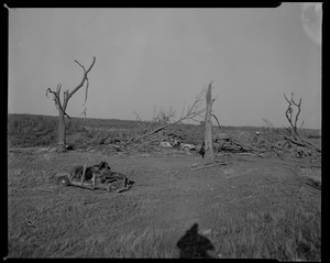 Destroyed trees and vehicles in field, with one man going through a car