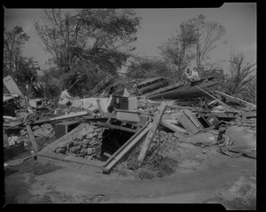 Two men and one woman in pile of wreckage