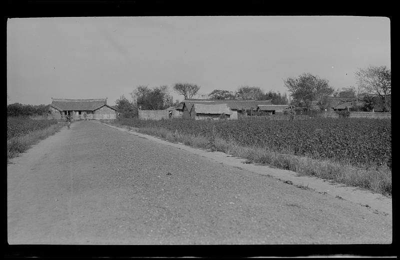 Village scene showing rice bundles