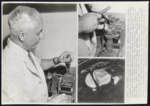 Cleaving the Vargas Diamond--The Vargas Diamond, third largest in history, was displayed in cleft sections today, and here Arian Grasselly, diamond cutter, shows how the job was done. Left, Grasselly holds the stone seated in a wooden cup filled with wax, with cutting marks showing. Upper right, how special chisel was placed in groove and struck. Lower right, the two main sections after cleaving and removal from cup; at extreme right, a finished portion previously cut off; smallest object is an unfinished piece.