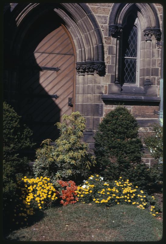 Flowers and bushes planted outside of a doorway