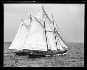 Fishing schooners