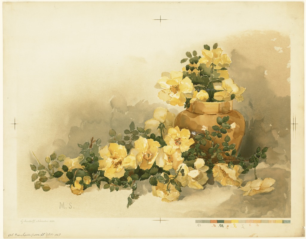 Yellow roses in a vase