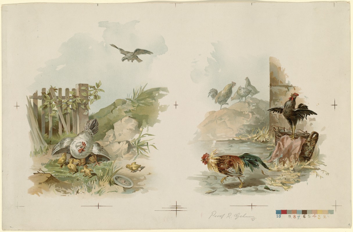Two images of chickens on one sheet