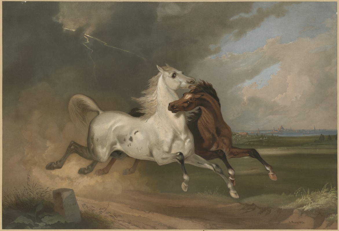 Horses in a storm