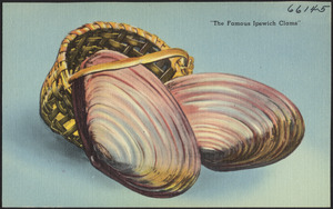 "The famous Ipswich clams"