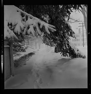 Winter scenes, Cushing House, Towle Silver, Chase Shawmut entrance