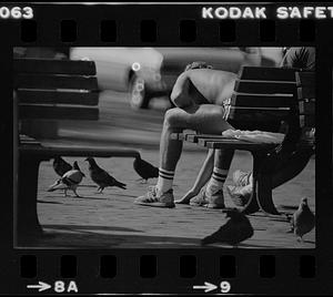 Man on bench feeding pigeons