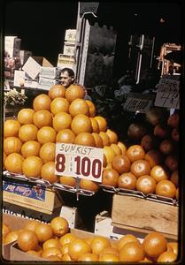 Oranges for sale, 8 for $1.00