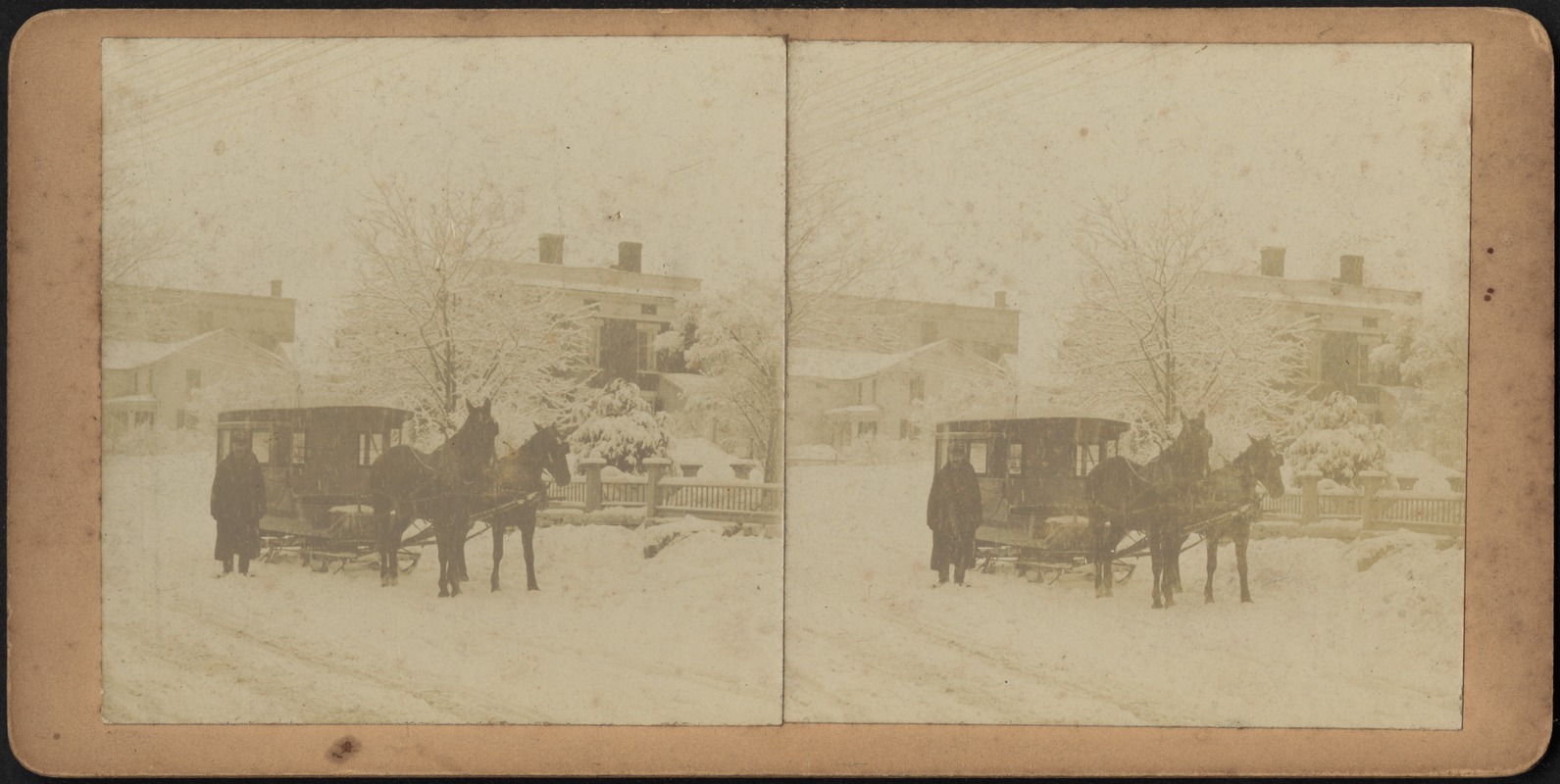 Driver and horse team with winter sleigh