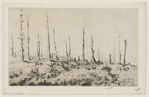 Spring, 1917