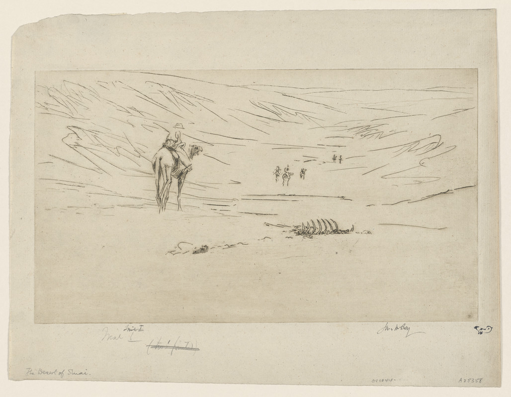 The desert of Sinai (no.2)