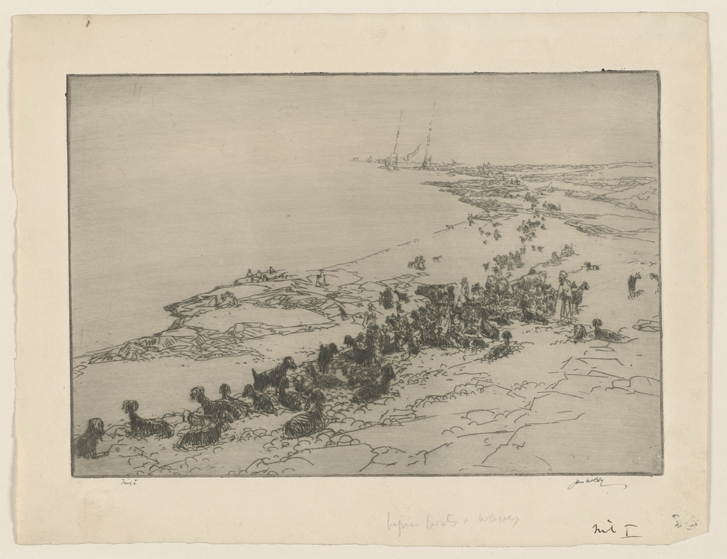 Phoenician coast