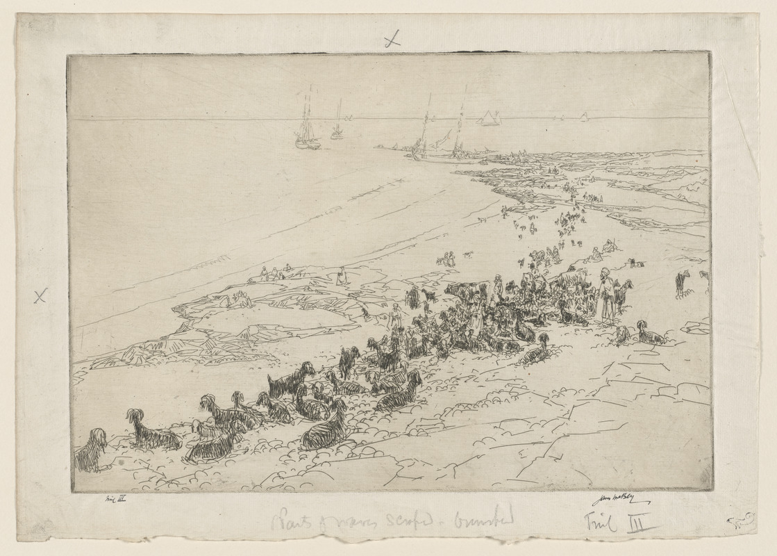 Phoenician coast