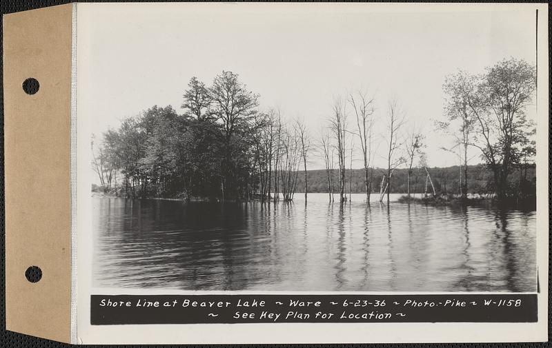 Shore line of Beaver Lake, Ware, Mass., Jun. 23, 1936